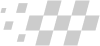 Race track flag